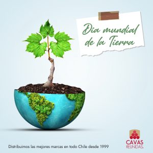 Plantilla RRSS_2024-11