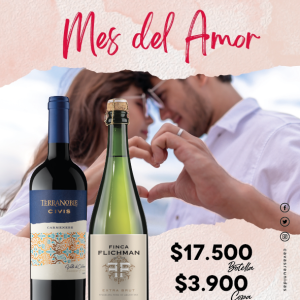 TT_SA_Amor(1)(1)